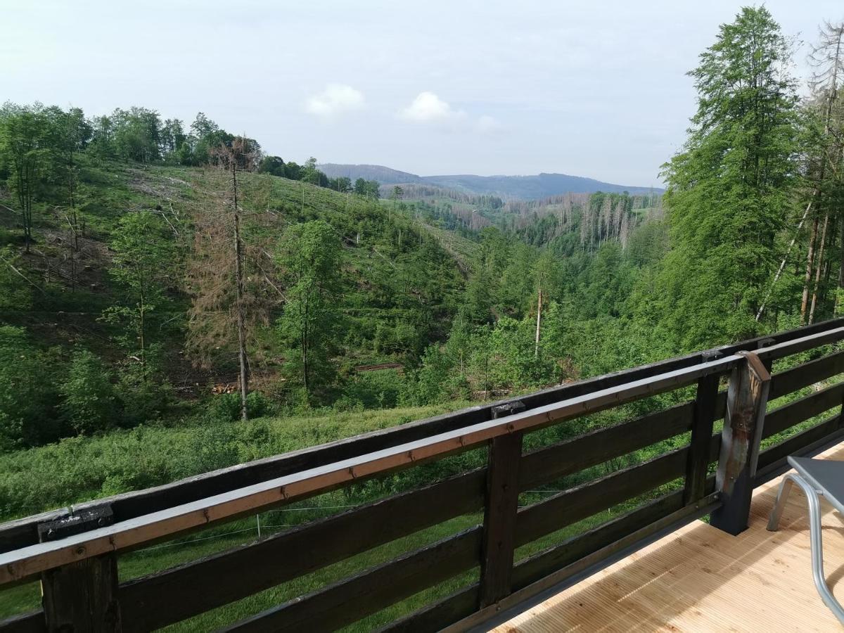 Apartmán Harz-Butze Sankt Andreasberg Exteriér fotografie
